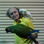 Terry Runyon and his birds